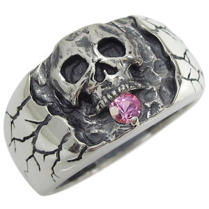 sNTt@CA XJ hN O Vo[ [ w Y ̓ 2024