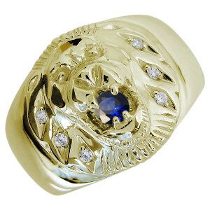 Tt@CA CIO Y Lion O K10 w ̓ 2024