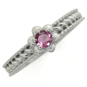 w fB[X  v`iO sNg} t[O v[g ̓ 2024