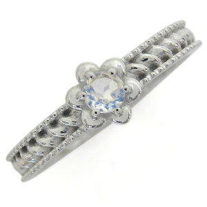 w fB[X  v`iO Cu[[Xg[ t[O v[g ̓ 2024