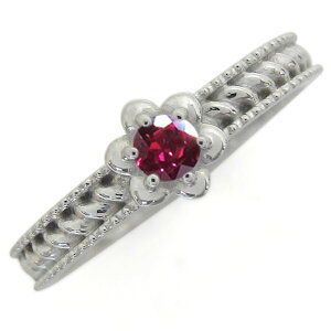 w fB[X  v`iO r[ t[O v[g ̓ 2024