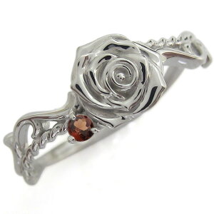 w fB[X  K[lbg AxXNO Vo[ KN O v[g ̓ 2024