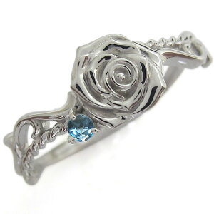 w fB[X  u[gp[Y AxXNO Vo[ KN O v[g ̓ 2024