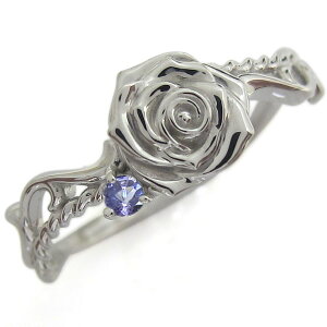 w fB[X  ^UiCg AxXNO Vo[ KN O v[g ̓ 2024