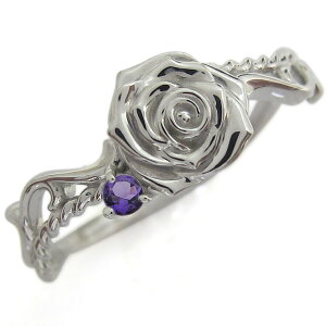 w fB[X  AWXg AxXNO Vo[ KN O v[g ̓ 2024