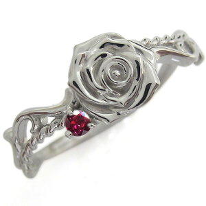 w fB[X  r[ AxXNO Vo[ KN O v[g ̓ 2024