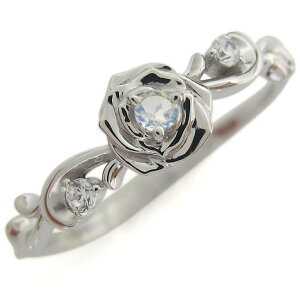 w fB[X  Cu[[Xg[ AxXNO Vo[ KN O v[g ̓ 2024