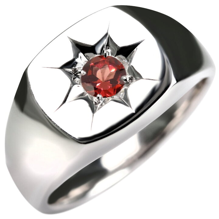 楽天市場】プラチナ リング ガーネット pt900 指輪 メンズ 1月誕生石  