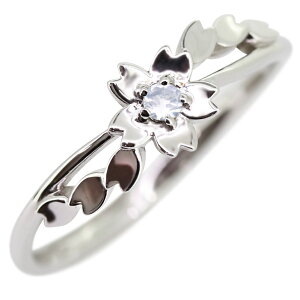 w fB[X Vo[O  Cu[[Xg[ t[O   ̓ 2024