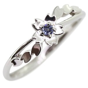 xjgACg w fB[X `[t v`i  TN O 킢 󏭐 WG[ pt900 v[g a LO   