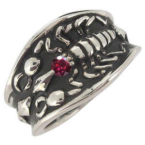 w Vo[ Y T\  XR[sI r[ 7a ̓ 2024