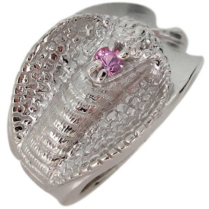 w Y v`i Ru wr  O sNTt@CA ̓ 2024