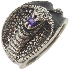 w Y Vo[ Xl[N  O AWXg Ru ̓ 2024