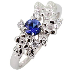 v`i O Tt@CA w fB[X pt900  t[  킢 VR