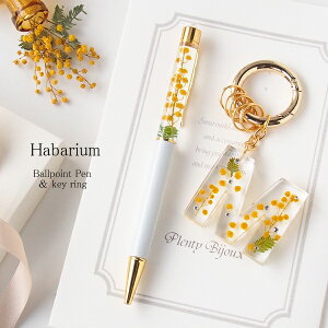 n[oE{[y CjV L[O Mtg ȃZbg ~U t[  ̓ a v[g [   킢 ސEj  CjV`[ 