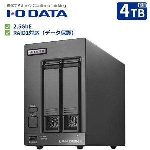 �y�|�C���g�ő�28�{�z NAS �t�@�C���T�[�o�[ 2�x�C 2.5GbE RAID1 I-O DATA HDL2-LV02 HDL2-LV04 2TB 4TB �@�l���� SOHO �t�@�C�����L ����LAN �V�i