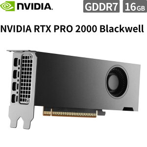 �O���t�B�b�N�{�[�h NVIDIA RTX PRO 2000 Blackwell 16GB GDDR7 ���[�v���t�@�C�� AI���[�N�X�e�[�V���� ���� 900-5G195-2551-000�y����s��/���ԑюw��s�z