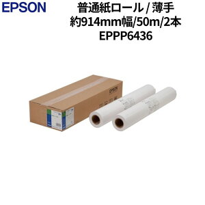 �y�ő�82��OFF���|�C���g30.5�{�z �G�v�\�� ���ʎ����[�� ���� ��914mm�� 50m 2�{ �V�i EPPP6436 �y����s��/���ԑюw��s�z