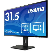 楽天市場】iiyama モニター 32の通販