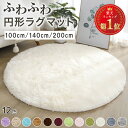 楽天1位受賞 ラグ 円形 ラグマット シャギーラグ 100cm 140cm 200cm 全10色 ふわふわ かわいい 丸型 丸 大型 洗える 洗濯可 滑り止め付き おしゃれ 春 夏 秋 冬 リビング 子供部屋 女の子 北欧 チェアマット カーペット 丸 円形ラグ 円形ラグマット 薄手 ピンク アイボリー