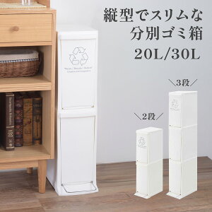 S~ c^ 2i 3i ӂt X  Lb`  20L 30L 21cm Ԏ[ zCg _Xg{bNX _Xg{bNX2D _Xg{bNX3D ʂݔ ȃXy[X Vv { y_