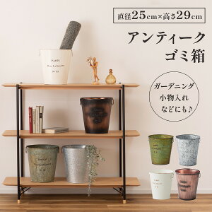 S~  AeB[N oPc _Xg{bNX WȂ rO  AeB[NeCXg gbVJ K[fjO  [ uL X`[ 킢  k 