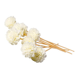 vv ZABON [hfBt[U[pXeBbN [h i` 20cm 8{Zbg Iׂ5 CeA  lC  j Mtg v[g