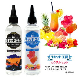 【送料無料】 電子タバコ リキッド カクテルセット SEX ON THE BEACH＆カクテルハイビスカス 各120ml