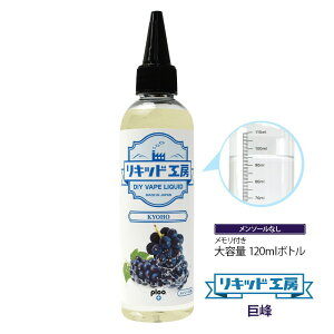 vv Y dq^oR Lbh Iׂ e 120ml 30ml t[ci\[jV[Y ֗Ȗڐt{g vape xCv LbhH[ i10mlj[h{g͕tĂ܂j