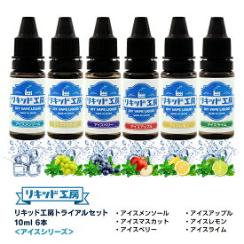 送料無料 電子タバコ リキッド 人気フレーバー お試しセット アイスシリーズ 10ml 6本 天然素材 強い刺激 10ml 混ぜて使える VAPE 対応