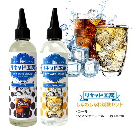 【送料無料】 電子タバコ リキッド しゅわしゅわ炭酸セット コーラ＆ジンジャーエール 各120ml 強い刺激 コスパ抜群 大容量 メモリ付きボトル 混ぜて使える ニードルボトル 10ml 付き ベースリキッド ギフト ラッピング 対応