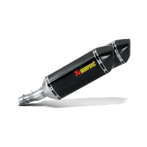 AKRAPOVIC (AN|rb`) XbvIC J[{ EC/ECE NINJA1000/ABS 14-19 S-K10SO19-HZC