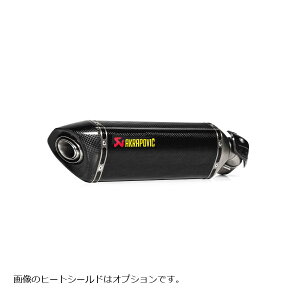 AKRAPOVIC (AN|rb`) XbvIC J[{ EC/ECE NINJA 1000SX S-K10SO32-HRC