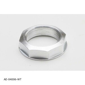 AELLA (�A�G��) �A���~���o���X�e���i�b�g �z���C�g BMW S1000RR Kawasaki ZX-25R ZX-4RR AE-04006-WT