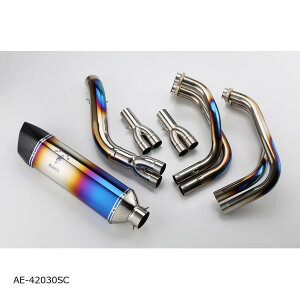 AELLA (AG) AXybN}t[ `^Of[V Ninja1000SX AE-42030SC