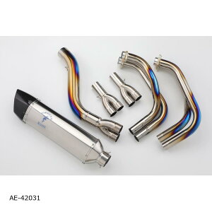 AELLA (AG) AXybN}t[(_E) Ninja1000SX AE-42031