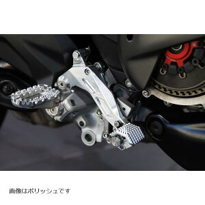 AELLA (AG) u[Ly_EnCWX^[^Cv :|bV MultistradaV4 /RS AE-46027-PO