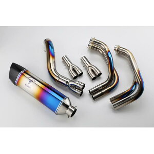 AELLA(AG) AXybN}t[:`^Of[V Ninja1000SX AE-42025SC