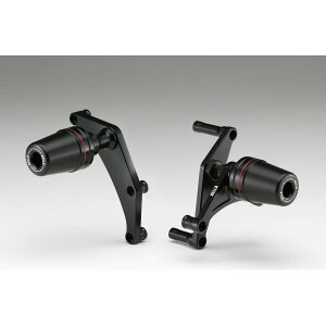 AELLA (AG) GWXC_[ DUCATI PanigaleV4 22- AE-68143