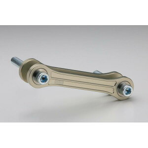 AELLA(AG) [_ENv[g 20mm_E PanigaleV4 AE-69008