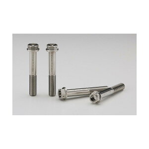 AELLA (�A�G��) �`�^���{���g(F�L�����p�[���W�A���}�E���g) M10X65 P1.5(4�{) AT-BM001