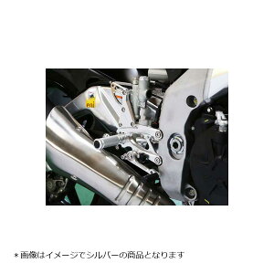 BABY FACE (�x�r�[�t�F�C�X) �o�b�N�X�e�b�v RSV4R TUONO V4R APRC �A���~�j�E�� �S�[���h 002-A011GD