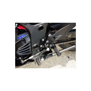 BABY FACE (�x�r�[�t�F�C�X) �Z�b�g�o�b�N�v���[�g Ninja250R Ninja250 �j���W�� �u���b�N 002-BK001BK