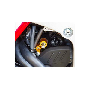 BABY FACE (�x�r�[�t�F�C�X) �V�t�g�X�s���h���z���_�[ CBR600RR �S�[���h 002-H009S