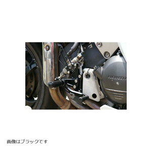 BABY FACE (�x�r�[�t�F�C�X) �o�b�N�X�e�b�v VFR800F 6�|�W�V���� �S�[���h �V�t�^�[�X�C�b�`�Ή� 002-H011GDB