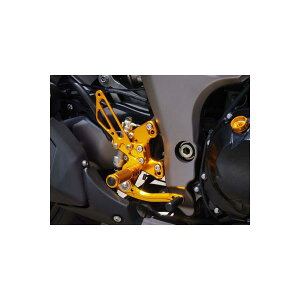 BABY FACE (�x�r�[�t�F�C�X) ���o�[�X�V�t�g Ninja1000 �j���W��1000 Z1000 �A���~ �S�[���h 002-K021GDR