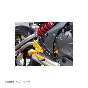 BABY FACE (�x�r�[�t�F�C�X) �o�b�N�X�e�b�v ER-6f Ninja650R �j���W�� 6�|�W�V���� ���`�F���W�̂� �A���~ �S�[���h 002-K022GD