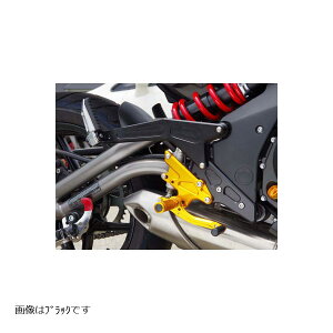 BABY FACE (�x�r�[�t�F�C�X) �^���f���u���P�b�g Ninja650 �j���W��650 ER-6f ER-6n �S�[���h 002-K022GDT