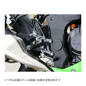 BABY FACE (�x�r�[�t�F�C�X) �o�b�N�X�e�b�v �J���[�F�u���b�N Ninja250 �j���W��250SL 002-K027BK