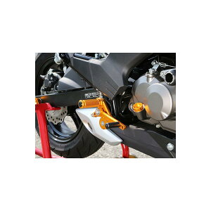 BABY FACE (�x�r�[�t�F�C�X) �o�b�N�X�e�b�v Z125 �S�[���h PRO02-K029GD